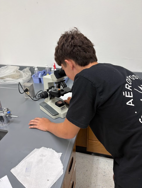 merkelisd's tweet photo. 🔬 Zooming in on Science!

Our biology students got a microscopic view!  Students saw deep inside an onion and cheek cell to see the difference between plant and animal cells
🧬✨

#BadgerStrong #ProudBadgers #OurBadgerStory #GoMerkelBadgers https://t.co/GjrK8HTDHH