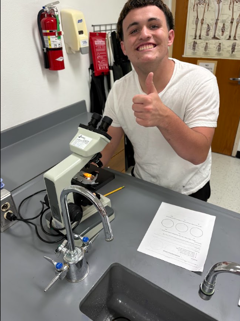 merkelisd's tweet photo. 🔬 Zooming in on Science!

Our biology students got a microscopic view!  Students saw deep inside an onion and cheek cell to see the difference between plant and animal cells
🧬✨

#BadgerStrong #ProudBadgers #OurBadgerStory #GoMerkelBadgers https://t.co/GjrK8HTDHH