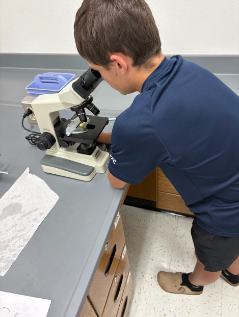 merkelisd's tweet photo. 🔬 Zooming in on Science!

Our biology students got a microscopic view!  Students saw deep inside an onion and cheek cell to see the difference between plant and animal cells
🧬✨

#BadgerStrong #ProudBadgers #OurBadgerStory #GoMerkelBadgers https://t.co/GjrK8HTDHH