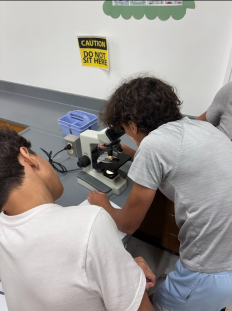 merkelisd's tweet photo. 🔬 Zooming in on Science!

Our biology students got a microscopic view!  Students saw deep inside an onion and cheek cell to see the difference between plant and animal cells
🧬✨

#BadgerStrong #ProudBadgers #OurBadgerStory #GoMerkelBadgers https://t.co/GjrK8HTDHH