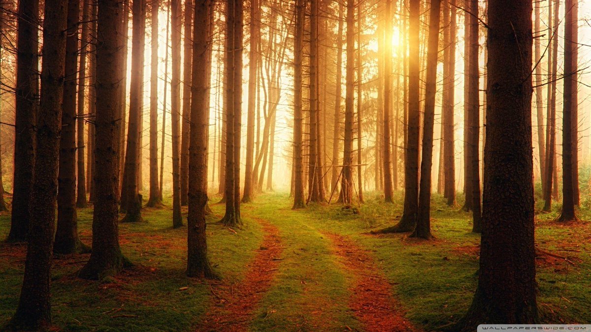 JacqulynGripper's tweet photo. AM photograph preserves appearanaybe we’re used to treating a person as one indivisible thing when really there are several things being lost: consciousness, memory, personality, relationships, influence. https://t.co/LE8PZrmE04