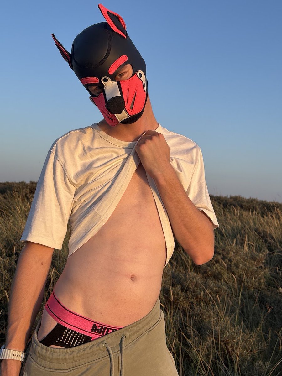 Finny_AD's tweet photo. Lets play in the dunes~ https://t.co/QgHGUXANGg