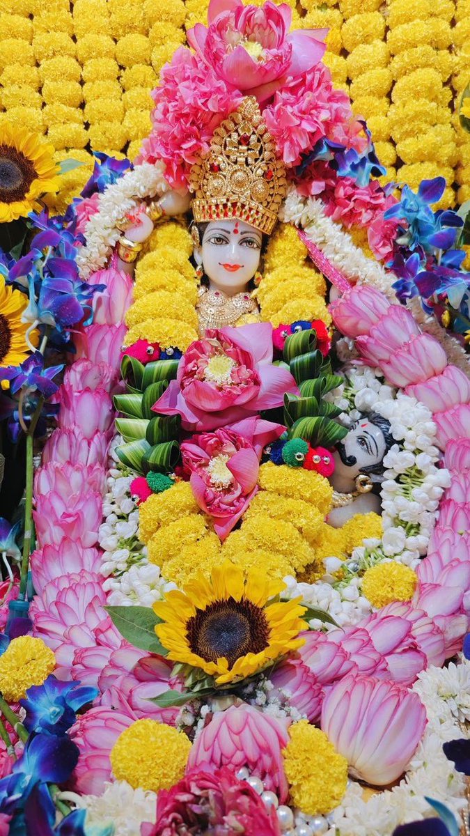 baglamukhipuja's tweet photo. 🙏 जय माई की 🙏 https://t.co/8ZXv4CJCG5