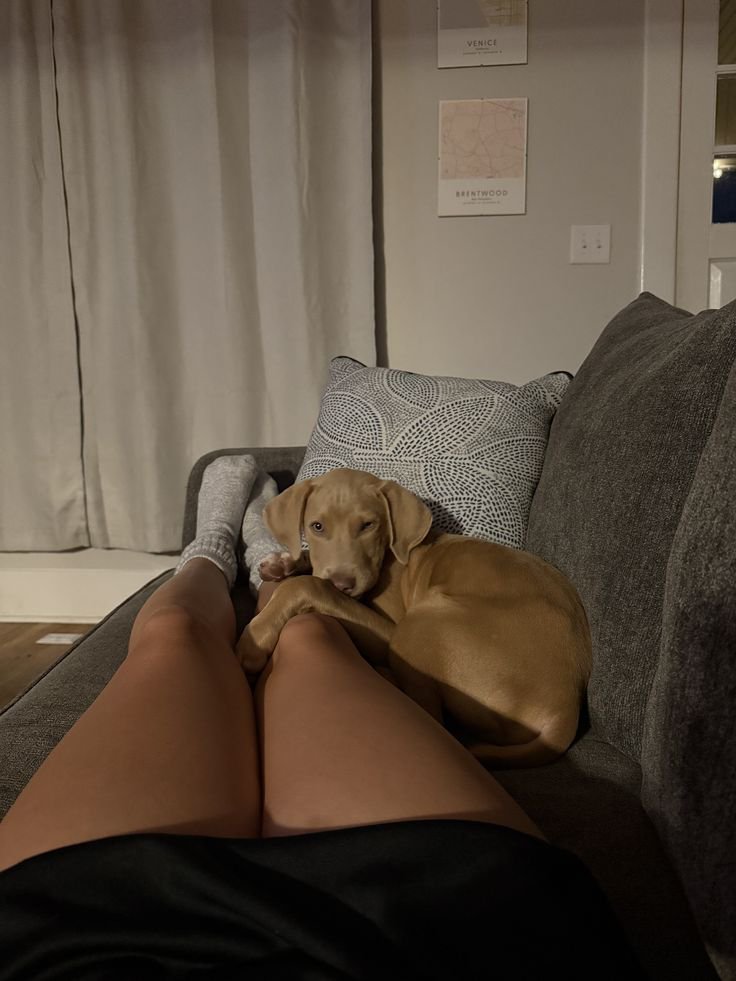 knottyiris6msk's tweet photo. Naughty &amp; knotty 🥵🤫🐕💦
For more contents swipe in my telegram 👇⬇️😜 
🔗https://t.co/YtWQbqQxG7 
https://t.co/TMsfJTuJsi 
#zoophilia #zoomom
#zoopride #beastiality
#doglover #dogmom https://t.co/72DRHRVpiZ