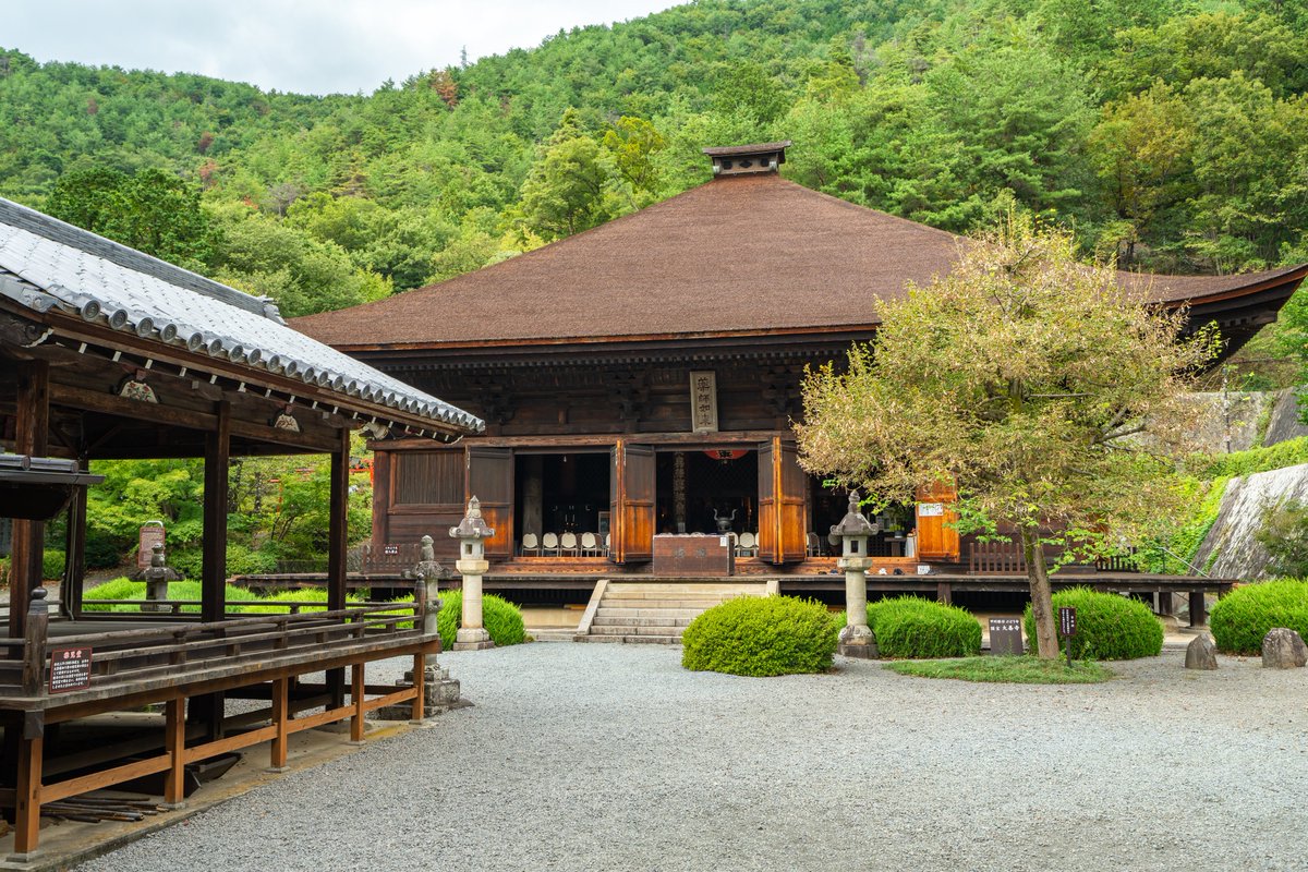 Ichiban_Japan's tweet photo. Daizen-ji, le temple du raisin 🍇

Dans la préfecture de Yamanashi, ce temple est un lieu magnifique qui a la particularité de proposer des dégustations de vin et de jus de raisin dans un cadre somptueux, face à un jardin intérieur.

Abritant de nombreux Momiji, c'est aussi une superbe destination méconnue à découvrir en automne !