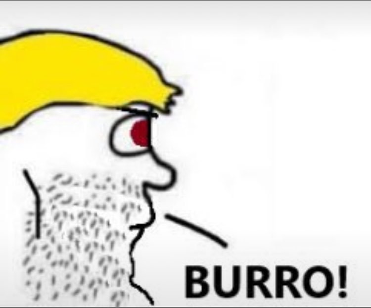 geniopedia's tweet photo. BURRO! https://t.co/K7TtewjnVY