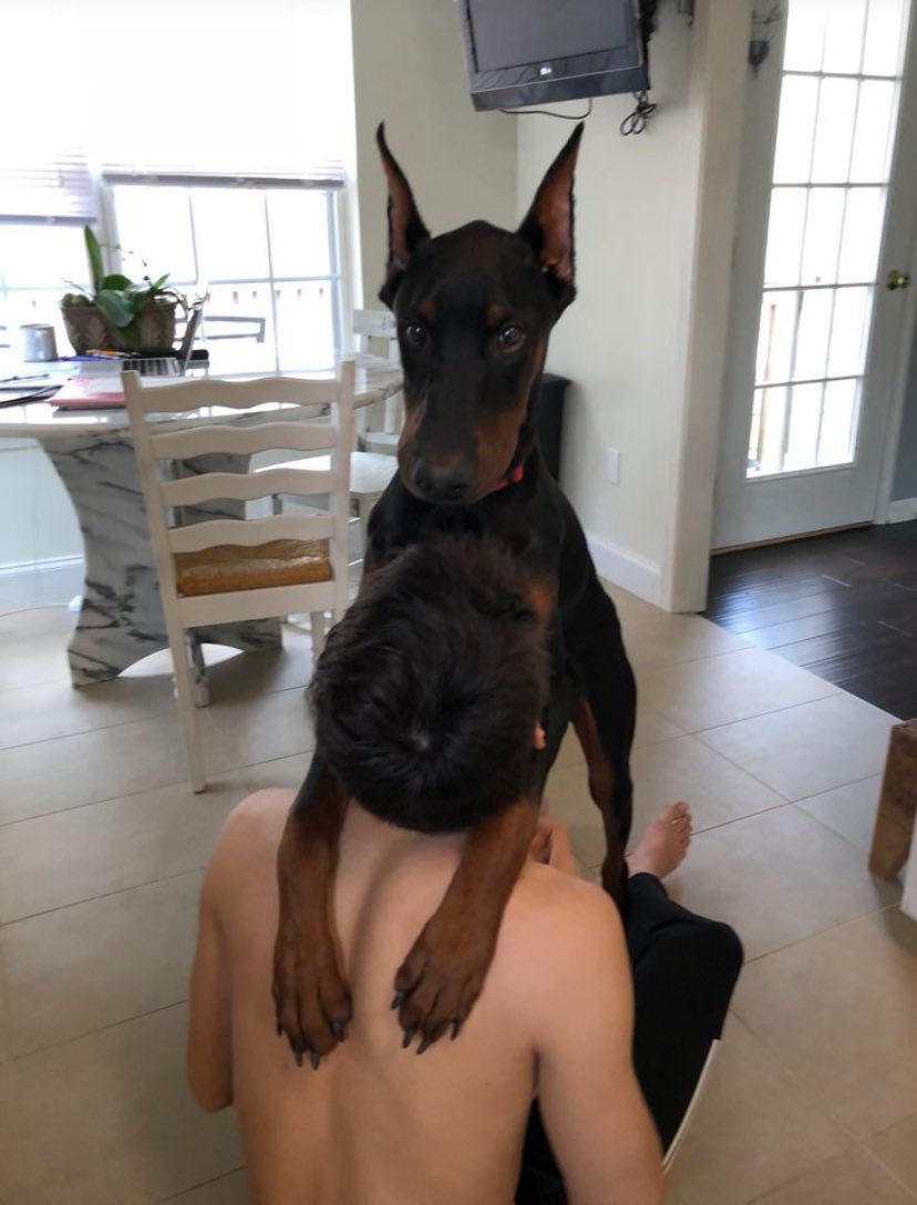 Truekaitt007's tweet photo. DM for menu!!
Telegram 👉🏾https://t.co/VqeTHKatT1
#zoophilia #bestiality
 #doglover 
#dogknotting
 #dogsex #knotty
 #dogpill #dog 
#puppy #dogwhore #dogwoman #zoocontent
#Dogwhore
#artofzoo
#pupLove
#K9lady
#Animalsex
#ZoopornPremium https://t.co/4nFI2ciwDQ