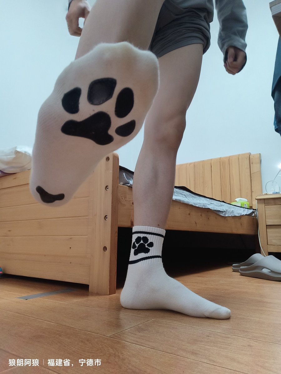Furry_Langlang's tweet photo. 10kfo先roll一双原味吧
胶底爪袜
点赞+转发+关注就可以参与了，仅限非偏远的粉丝宝宝
周末那样开吧
后面要干什么慢慢想吧，开学好累哦 https://t.co/kvEEooTlsB