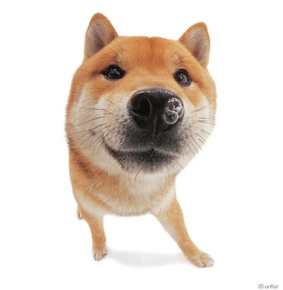 Oongddimi's tweet photo. https://t.co/8heZzPiXh2