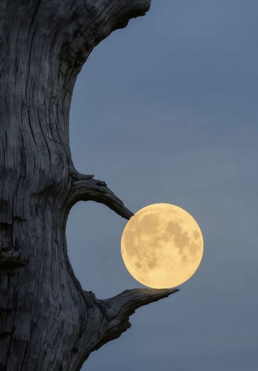 Nature_Beauty11's tweet photo. Full Moon https://t.co/nelSaM3Zjz