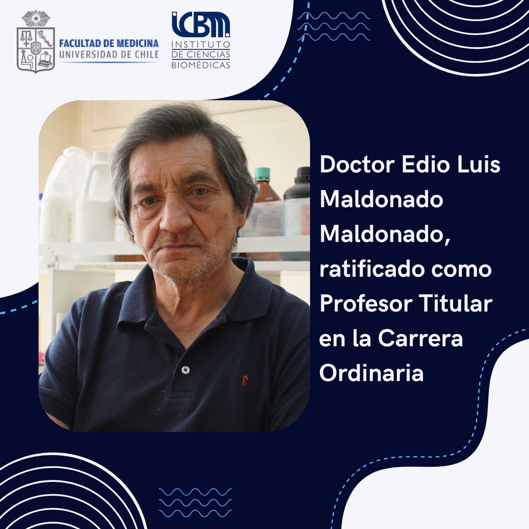 ICBM_UChile's tweet photo. Hoy felicitamos a nuestro académico Edio Maldonado, quien fue promovido a profesor titular, un hito muy importante en su carrera en el Instituto de Ciencias Biomédica

Le enviamos muchas felicidades por el merecido reconocimiento y su aporte para la Fac. de Medicina https://t.co/NwiNG8z72E