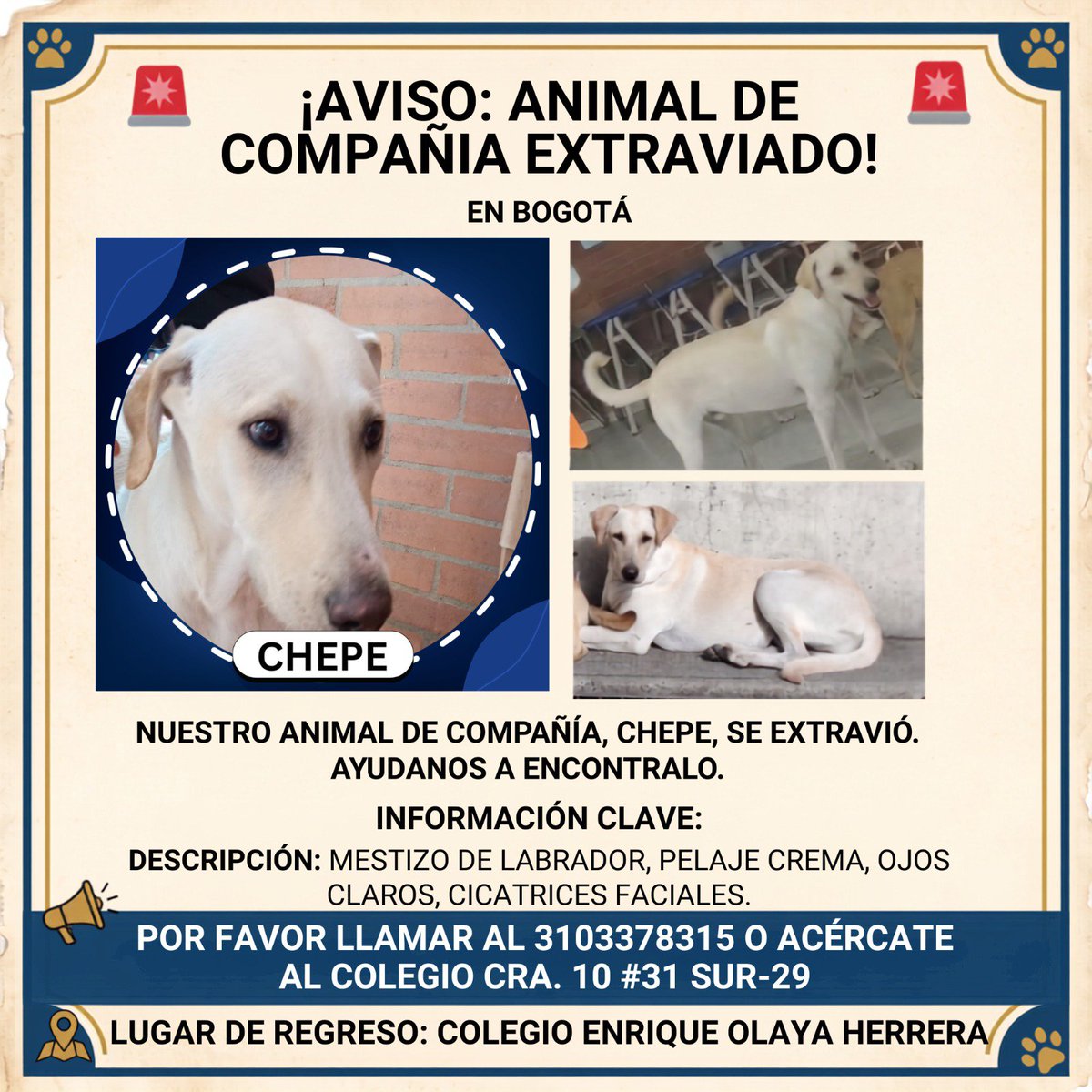 eohcolegio's tweet photo. https://t.co/VkSV8A8uiH