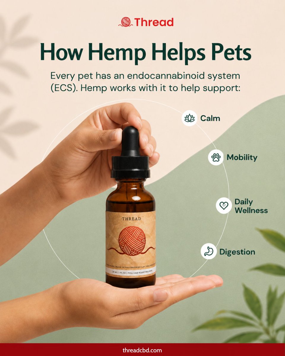 threadcbd's tweet photo. Wellness looks good on every wag🐾🌿

Your pet’s endocannabinoid system (ECS) helps maintain balance, and hemp can work with it to support calm, mobility, daily wellness, and healthy digestion.

Because feeling good should be part of every pet’s routine.

#ThreadCBD #PetWellness https://t.co/Fx4Ibsq84k