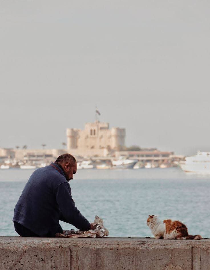ElG12303's tweet photo. Alexandria, Egypt. https://t.co/R2Un2gqKSY