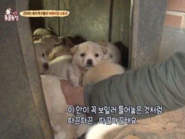 d0ha6d's tweet photo. https://t.co/fdRxWZ6oUE