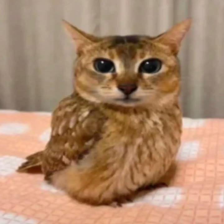 Daniel327525263's tweet photo. @Odd_roommate Now... When are you going to make trog version? https://t.co/izo94j2s0F