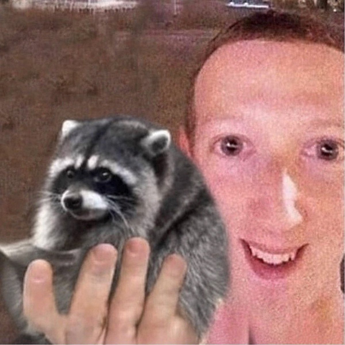 manifestingdiva's tweet photo. NEW MISSION FOR THE COMMUNITY 🦝

today i want everyone to get on facebook.

if you don’t want to dox, make a fresh account.

join the main Jimothy group. there are almost 200,000 people in there who already know and love the raccoon.

start posting. memes, lore, news, funny screenshots, whatever.

don’t go in there aggressively shilling the coin. just become part of the community and start bridging the worlds naturally.

we’ve spent weeks spreading Jimothy across crypto.

now it’s time to start onboarding the people who were already here.