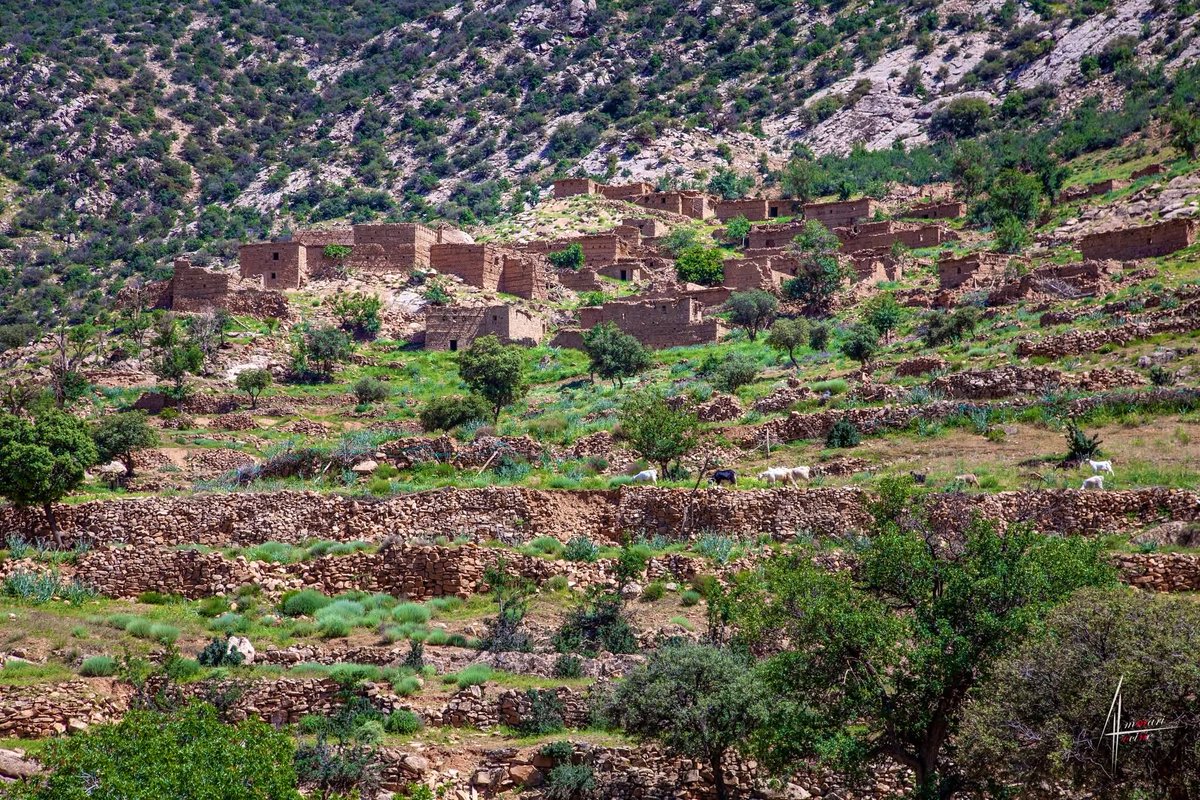chaouiheritage's tweet photo. 🇩🇿ⵣ Le village typiquement chaoui de Madhrunt chez les Aït Abdi. https://t.co/LDmeLFGPHU