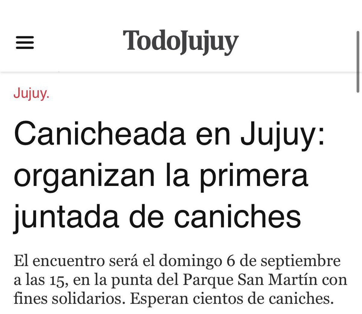 canichesmanzur's tweet photo. En el torneo nacional de caniches, Tucumán estará representado por los pichichos de Manzur: Juri Debo y @pyedlin 🐩  😂😂😂 https://t.co/gwlST8ptC0
