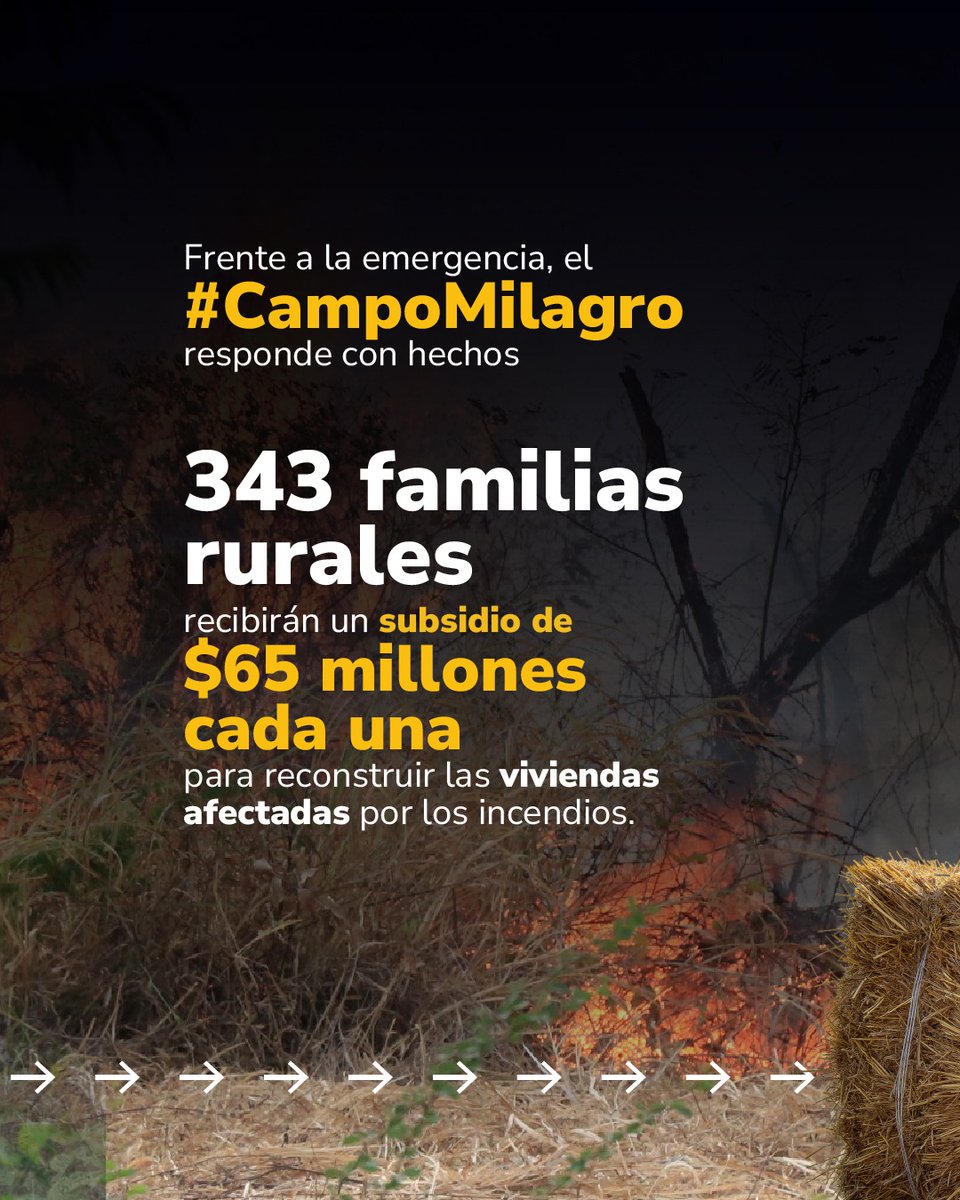 MinAgricultura's tweet photo. El #Tolima 📍 lleva semanas peleándole al fuego. 

Las altas temperaturas y las quemas provocadas 🔥 tienen al departamento en una de las crisis ambientales, sociales y productivas más difíciles de los últimos años.  Apagar el fuego es solo la primera parte. El gran reto es cómo ayudar a que una familia que perdió su casa, su ganado y su cosecha, vuelva a levantarse. 🐄