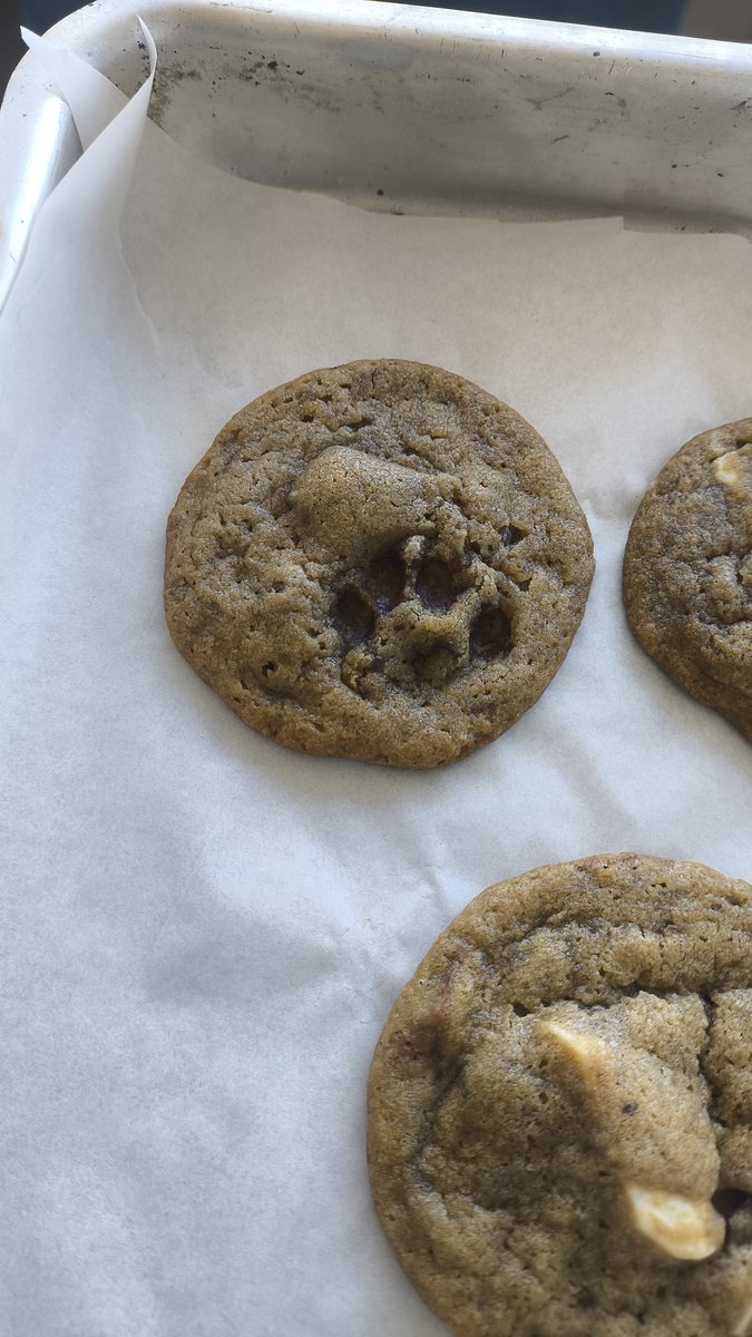 ramonadulacc's tweet photo. fui deixar os cookies esfriando na sacada e quando eu vou olhar..... https://t.co/wed3UwCmny