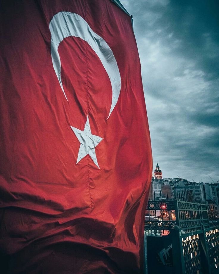 birteraphy's tweet photo. "şâh-ı gülistândan güzelsin güzel." https://t.co/4xEw6RygE4