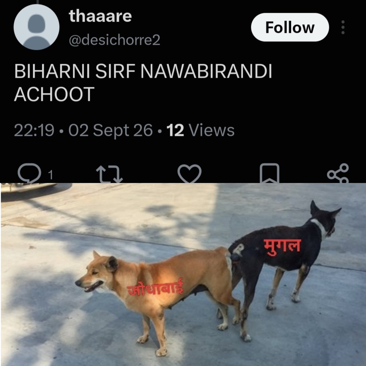 SamyanshR's tweet photo. Jyada Khudne ke bad mugalput apna sudh budh kho kar pure bihar ko abuse kar raha. Apne fayde ke liye ye mixbreed chero putr ka itihaas beti dene ka raha hai. Isase ham yahi ummid kar sakte hain.
aaj rat BP ka dawa khakar sona warna mai viagara kha kar Randputni par chadh jaunga https://t.co/S88w36kdY8