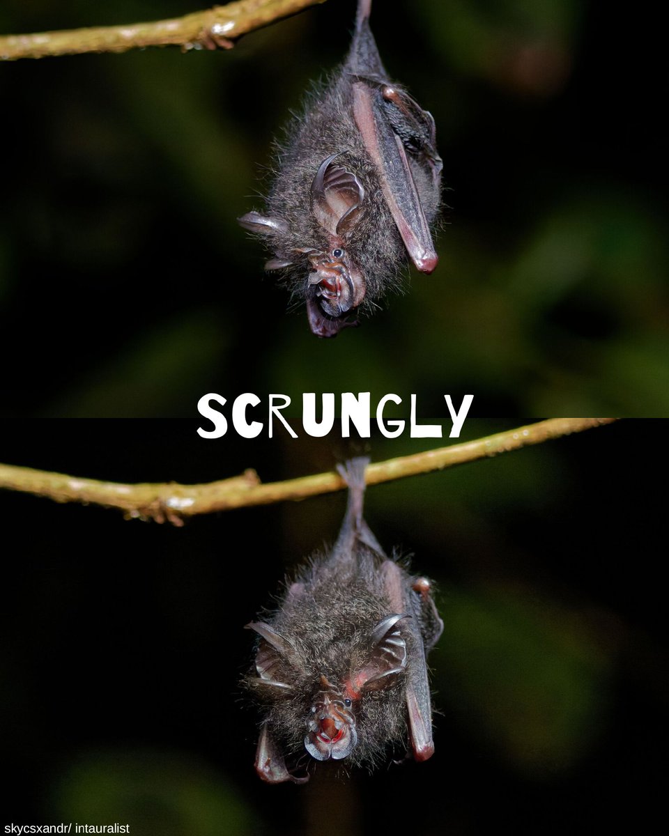 BatConIntl tweet picture