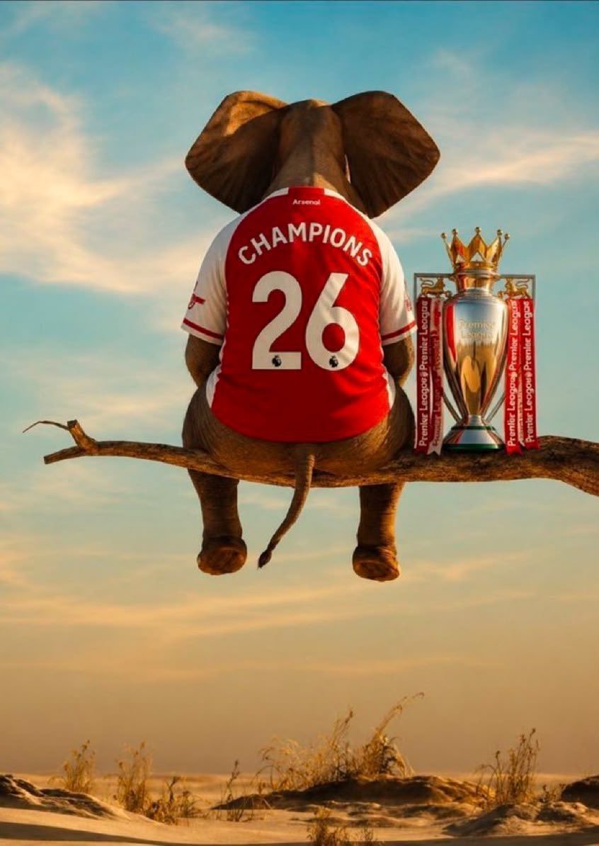 Abe_AFC_N5's tweet photo. Arsenal is the only PL club yet to concede any goal.

CHAMPIONS FOR A REASON, WELCOME TO REALITY! https://t.co/o3PwXG4sQO