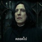 Photo by ⁎ ณิฐาก้อน⋆ Ꮺ ָ࣪ ۰ (@mildnitha)