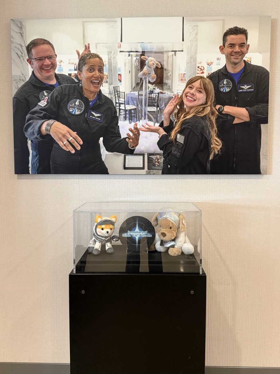 Sweepytrades's tweet photo. @Samualxyz $jude hasnt been sent properly either and jude actually went to space 0x7002798eB2aD0B68D4c9C3Ca20C348058306951A https://t.co/eVUtnTRWgA