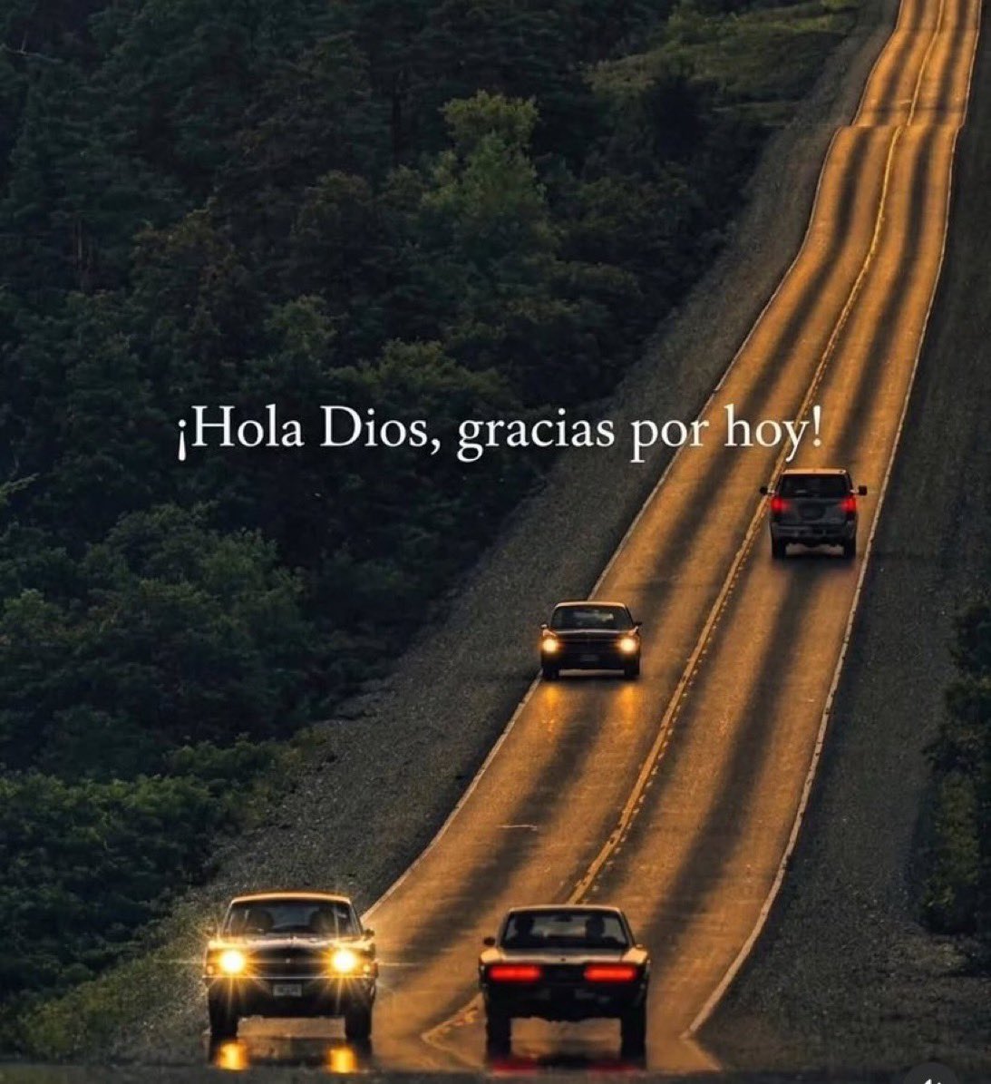 Nefisito's tweet photo. https://t.co/GXgegddNZ0