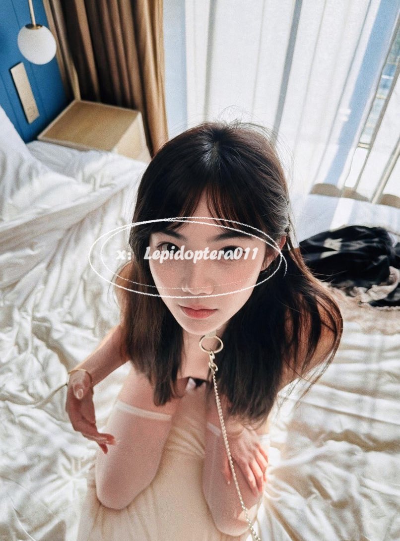 Lepidoptera011's tweet photo. ⛓️‍💥 https://t.co/h4co9IZpR5