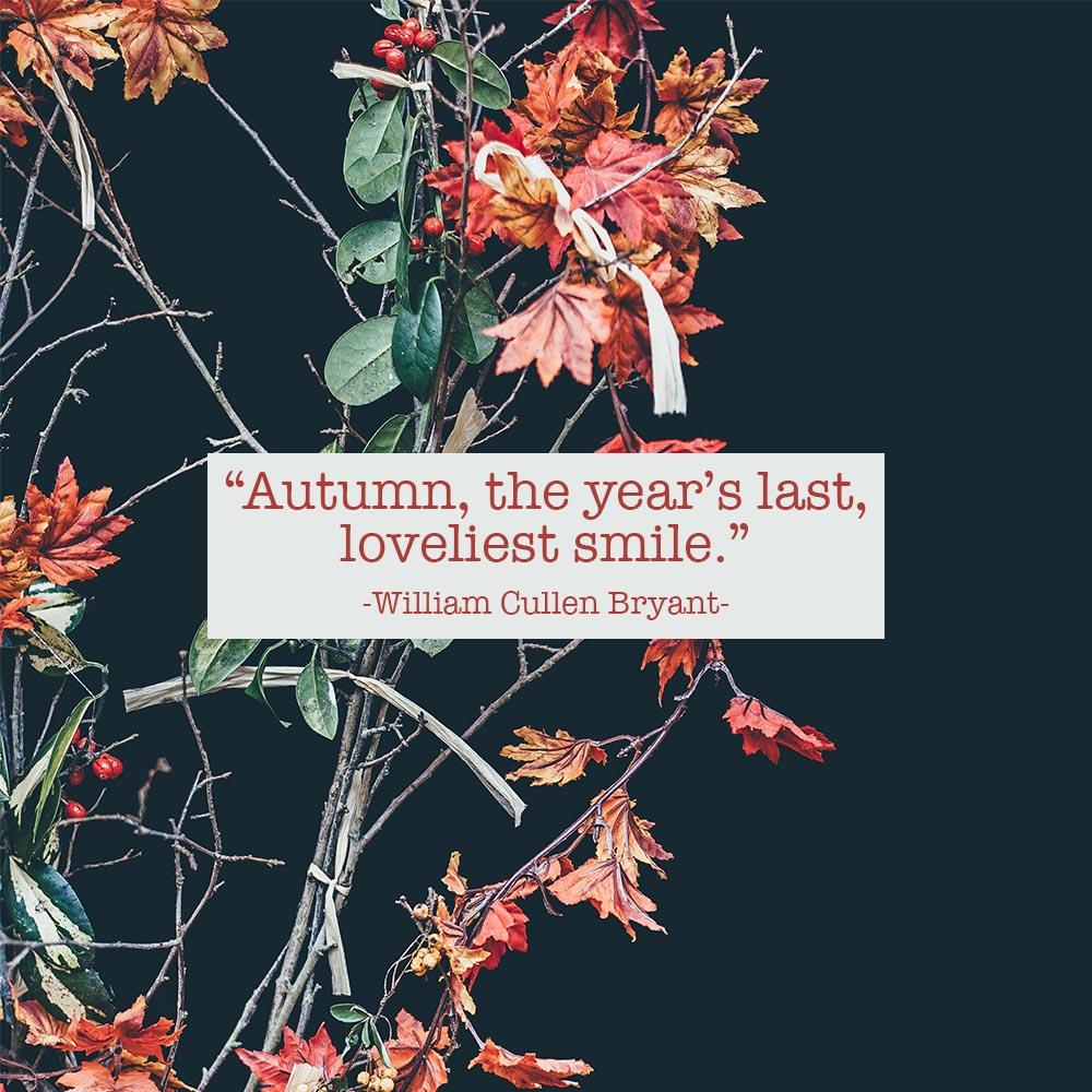 paulsaperstein's tweet photo. Fall might be the most beautiful season, especially if you love being cozy and warm inside. What's your favorite part of fall?
Don't Make A Move Without Me! https://t.co/QBTLBSHjH8