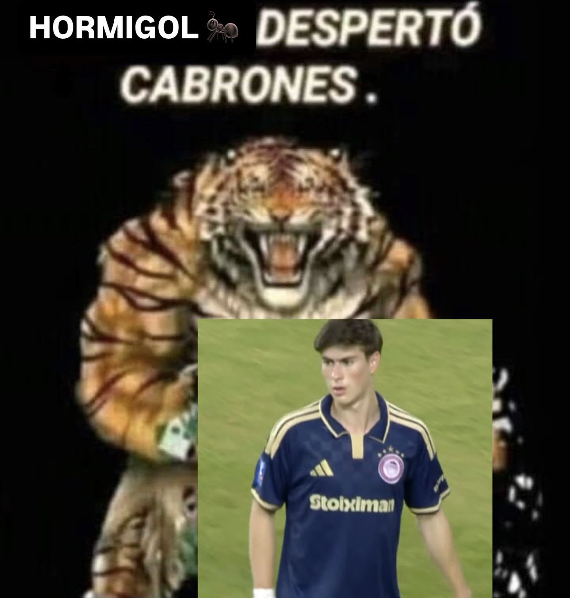 pumpkincino's tweet photo. VAMOS CARAJOOOO 🔥 https://t.co/LIlvBs9lHd
