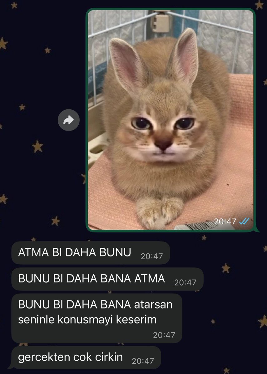 fulltimebully's tweet photo. kahkaha atıyorum https://t.co/5WfZ70G9wh
