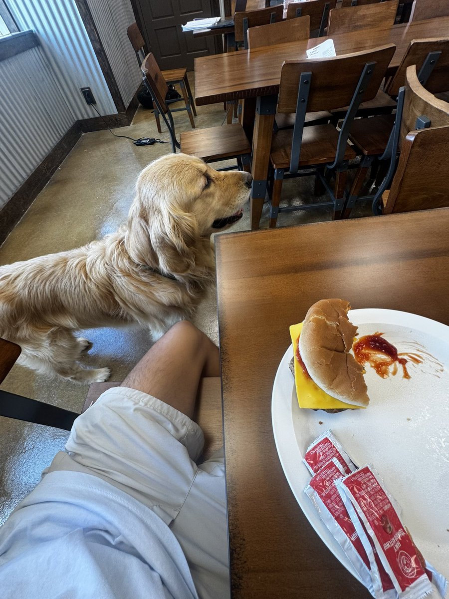 supremeleadaa's tweet photo. New foid attractor unlocked. Meet Denny (Denver) https://t.co/YVwDaFXmvJ