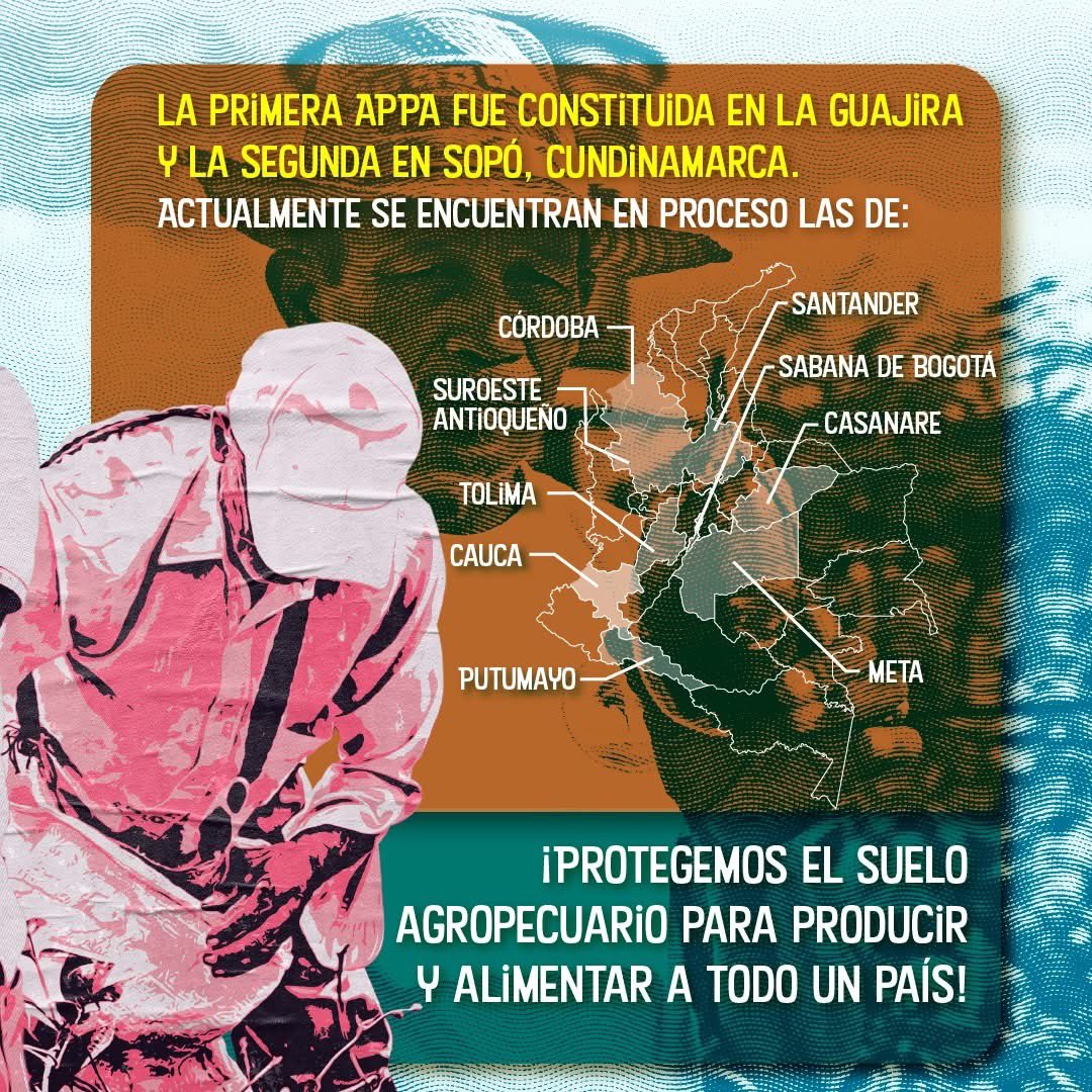 MariaEugeniaLo's tweet photo. 🚨ALERTA POR LA SOBERANÍA ALIMENTARIA DE BOGOTÁ🔍👩🏻‍🌾
 
Hoy están en riesgo las Áreas de Protección para la Producción de Alimentos (APPA), una figura creada para proteger los suelos fértiles donde se producen los alimentos que llegan todos los días a nuestras mesas.
 
📝En el Congreso avanza un proyecto para desmontar esta protección y, dejar sin efecto las APPA de Sopó, Nemocón, Cogua, Tenjo y Tabio, poniendo en riesgo cerca de 15.800 hectáreas de suelo productivo en la Sabana de Bogotá.
 
👉🏼Si se pierden estos suelos, se afecta a campesinos y productores, aumenta la presión inmobiliaria sobre la tierra rural y Bogotá dependerá cada vez más de alimentos traídos desde mayores distancias, con más costos y mayor vulnerabilidad frente a crisis de abastecimiento.
 
🚨La tierra fértil no es mercancía para la especulación y el cemento. La tierra que produce alimentos debe protegerse.
 
👇🏾