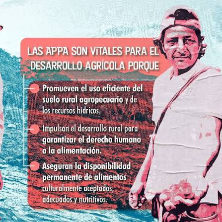 MariaEugeniaLo's tweet photo. 🚨ALERTA POR LA SOBERANÍA ALIMENTARIA DE BOGOTÁ🔍👩🏻‍🌾
 
Hoy están en riesgo las Áreas de Protección para la Producción de Alimentos (APPA), una figura creada para proteger los suelos fértiles donde se producen los alimentos que llegan todos los días a nuestras mesas.
 
📝En el Congreso avanza un proyecto para desmontar esta protección y, dejar sin efecto las APPA de Sopó, Nemocón, Cogua, Tenjo y Tabio, poniendo en riesgo cerca de 15.800 hectáreas de suelo productivo en la Sabana de Bogotá.
 
👉🏼Si se pierden estos suelos, se afecta a campesinos y productores, aumenta la presión inmobiliaria sobre la tierra rural y Bogotá dependerá cada vez más de alimentos traídos desde mayores distancias, con más costos y mayor vulnerabilidad frente a crisis de abastecimiento.
 
🚨La tierra fértil no es mercancía para la especulación y el cemento. La tierra que produce alimentos debe protegerse.
 
👇🏾