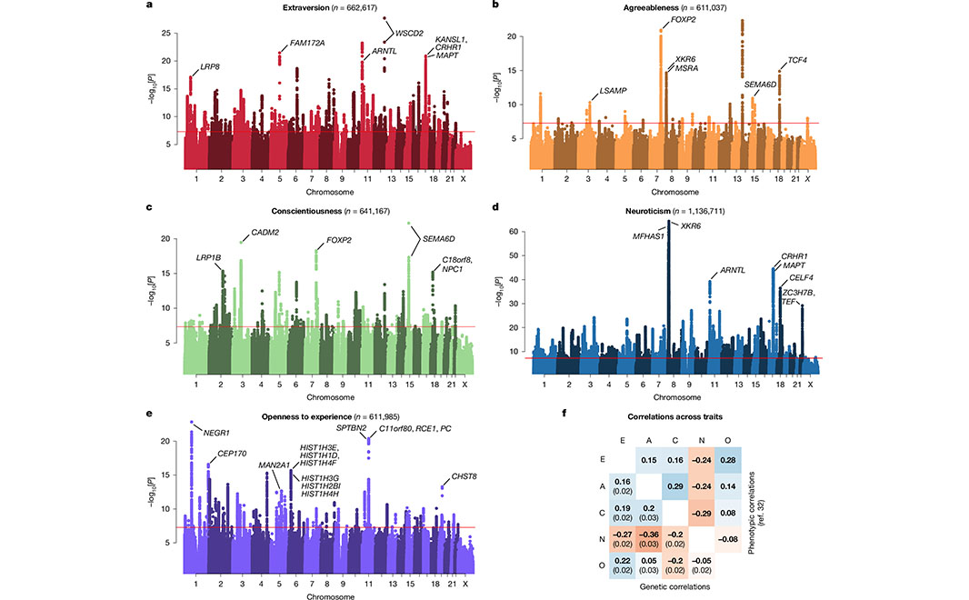 NaturePortfolio's tweet photo. A meta-analysispublished in Nature identifies more than 1,000 genetic variants associated with human personality. The study probes the potential links between DNA variations and differences in personalities, specifically looking at five personality traits. https://t.co/EBYX0Sn6jK https://t.co/RAFOqf33E9