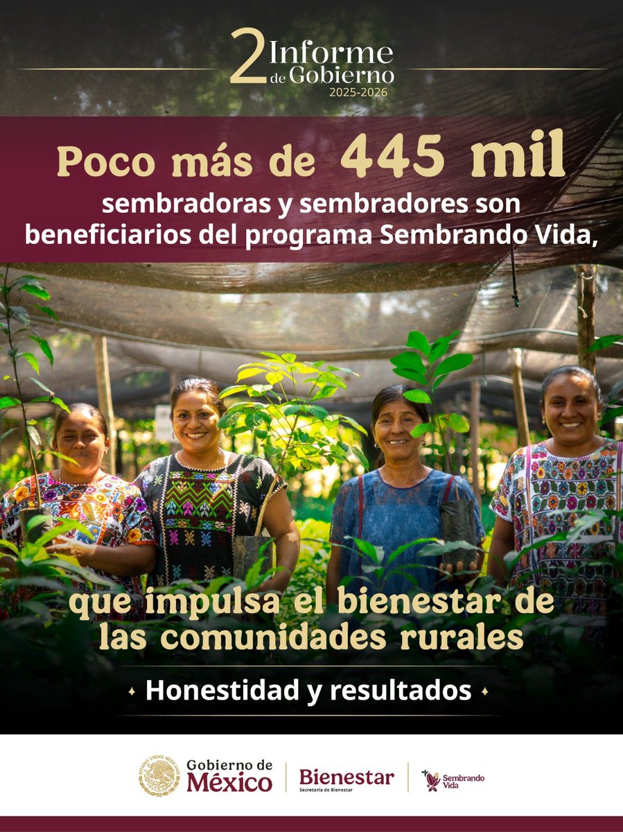 bienestarmx's tweet photo. #2InformeDeGobierno | Más de 400 mil sembradoras y sembradores hacen posible #SembrandoVida, que transforma comunidades rurales, fortalece la autosuficiencia alimentaria y contribuye a recuperar nuestros ecosistemas.

#HonestidadYResultados https://t.co/Kxw8LoBO9M