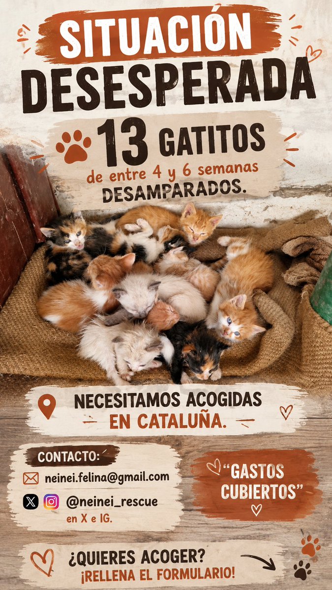 Neinei_rescue's tweet photo. Hola!

Por favor difundid esto 😭 tengo 13 gatitos de entre 3 y 5 semanas desamparados. Los querían soltar en un campo. Tengo un sitio seguro para ellos hasta la semana que viene o principios de la siguiente luego nada.

Necesito casas de acogida en CATALUÑA 📍 

Si no encuentro suficientes, buscaré en Madrid de momento solo Cataluña.

Os dejo los requisitos. Si queréis acoger y cumplís los requisitos podéis rellenar el formulario. Si no los cumplís no lo rellenéis, por favor. Voy de puto culo 😭

No se pueden adoptar aún pero se puede hacer acogida con opción a adopción!

REQUISITOS PARA ACOGER:

-Tener una habitación libre y segura en la que puedan estar aislados del resto de animales que tengáis! (Tienen que hacer cuarentena como todos los animales que salen de la calle, desparasitarse y hacerse el test antes de poder juntarse con otros gatos)

-NO ACCESO A LA CALLE

-Se tienen que acoger MÍNIMO DOS. Separar a un gato tan pequeño de la madre y los hermanos es = problema de conducta de mayor prácticamente asegurado

-Tener manera de llegar a un veterinario que esté abierto 24h. 
Ojalá no lo necesitemos pero necesito que puedas llegar a pie o en coche a un hospital veterinario a cualquier hora si hay una urgencia.

-Comprometerse a ir a las visitas del protocolo. La acogida no paga nada pero tenéis que llevarlos a desparasitar, vacunar, etc.

-Ventanas y balcones protegidos.
Si no tienes redes de protección puedes acoger pero dejando clarísimo que no vas a abrir la ventana ni la puerta de donde estén y no podrán salir de esa habitación segura en toda la estancia. Las acogidas son protecciones en ventanas y balcones NO podrán adoptar si no las ponen. 

-NO SE ELIGEN POR COLORES. SI PUEDES ACOGER SOLO DIME CUANTOS, SI TE IMPORTA DE QUE COLOR SON PARA PRESTAR AYUDA, VAMOS A PRESCINDIR DE TU AYUDA. 

TODOS LOS GASTOS ESTÁN CUBIERTOS DURANTE LA ACOGIDA. Si cumples los requisitos puedes rellenar este formulario; 
https://t.co/uPiw1DdBZP