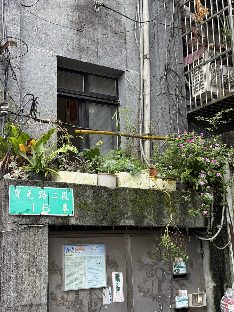 ExcellentCho's tweet photo. 雨が降る台北の路地裏☔️
古い建物、緑の植物、傘を差して歩く人たち
雨に濡れた街並みや古い建物を眺めていると、なんだか時間がゆっくり流れているような気がする☺️ https://t.co/e7mek8NlTi