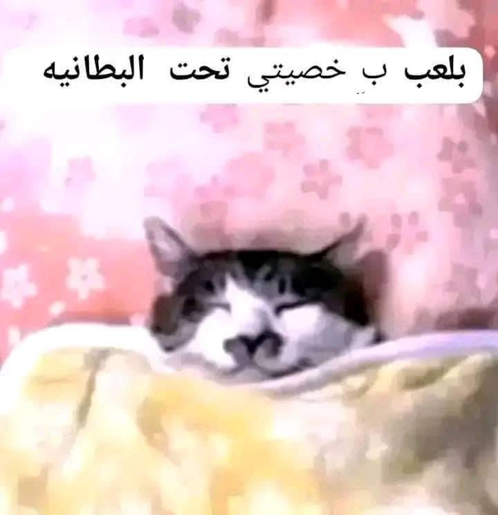 lehmabdon's tweet photo. تحديث حاله https://t.co/G9YGmN4g2M