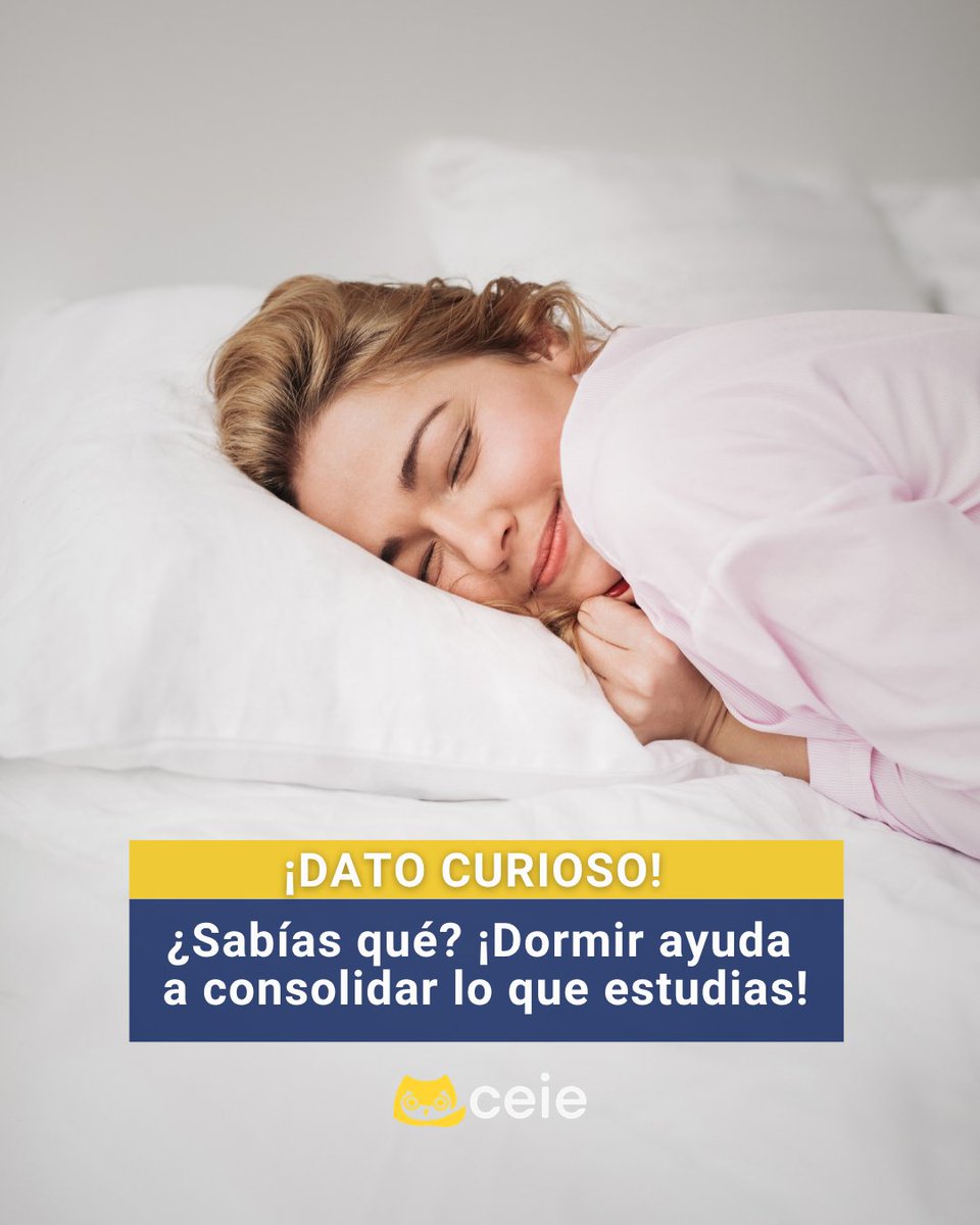 ceie_es's tweet photo. ¿Sabías qué…? 👀
¡Dormir ayuda a consolidar lo que estudias! 📚💤 Debido a las fases del sueño NREM. Este proceso ayuda a consolidar las memorias, haciendo que posteriormente sea más fácil recuperar lo aprendido. 🚀
#sabiasque #datoscuriosos #sueñorem #rem #memorias #dormir https://t.co/isfl1UEyOC
