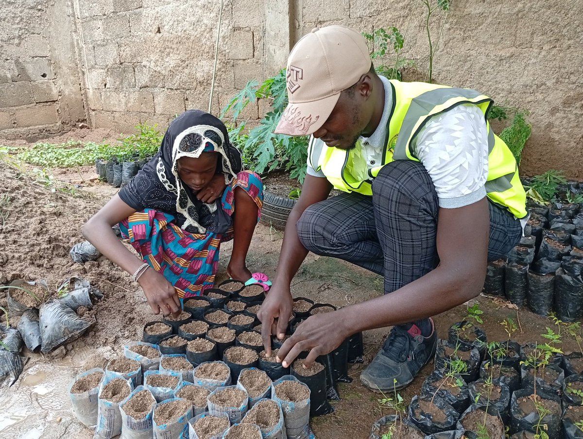 ong_jadd's tweet photo. 🌱 De la graine à la plantation : les jeunes de #VacancesÉcolos2026 découvrent pourquoi les arbres sont essentiels aux sols, à la biodiversité et à la lutte contre le changement climatique.

Former aujourd’hui les écocitoyens de demain. 🌳

#Reboisement #Cameroun https://t.co/XE62C2ffes
