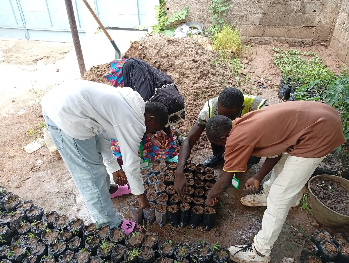 ong_jadd's tweet photo. 🌱 De la graine à la plantation : les jeunes de #VacancesÉcolos2026 découvrent pourquoi les arbres sont essentiels aux sols, à la biodiversité et à la lutte contre le changement climatique.

Former aujourd’hui les écocitoyens de demain. 🌳

#Reboisement #Cameroun https://t.co/XE62C2ffes