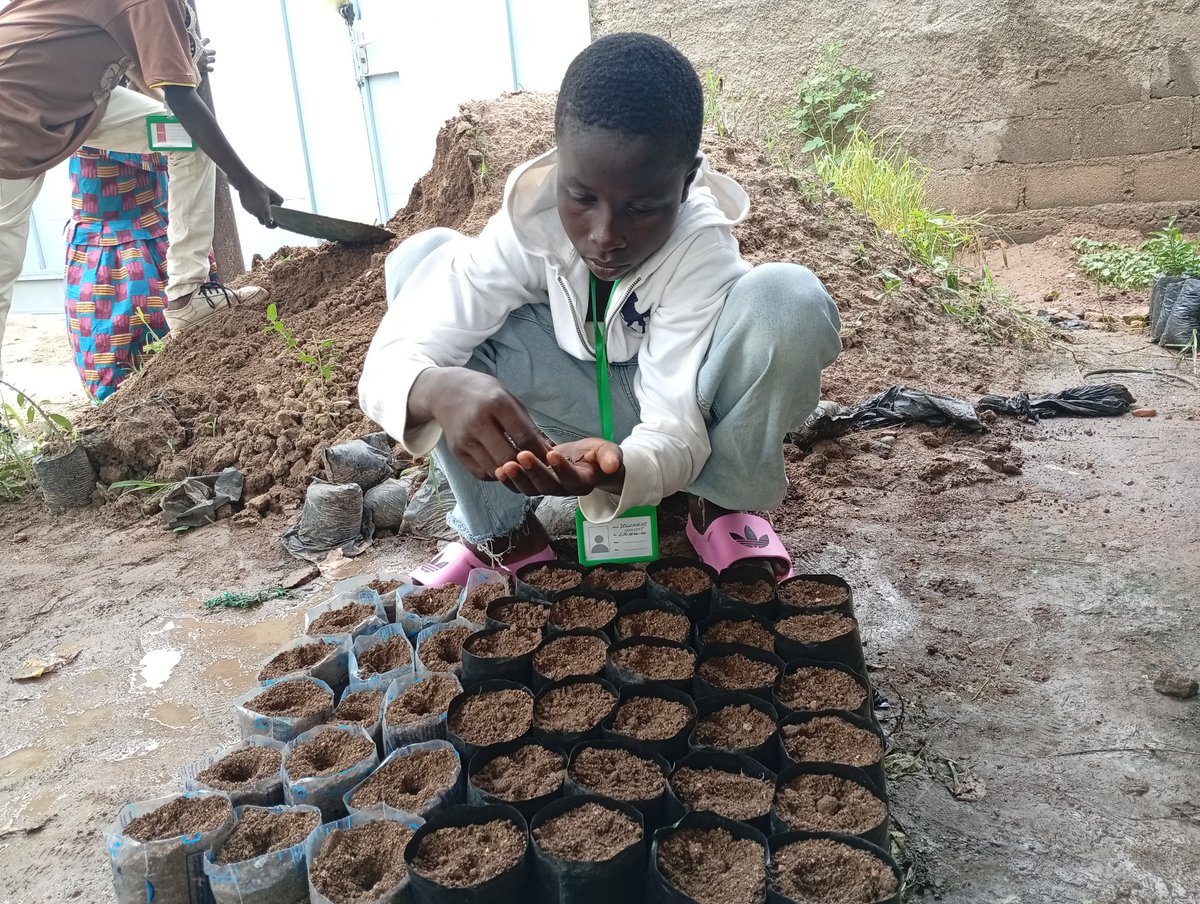 ong_jadd's tweet photo. 🌱 De la graine à la plantation : les jeunes de #VacancesÉcolos2026 découvrent pourquoi les arbres sont essentiels aux sols, à la biodiversité et à la lutte contre le changement climatique.

Former aujourd’hui les écocitoyens de demain. 🌳

#Reboisement #Cameroun https://t.co/XE62C2ffes