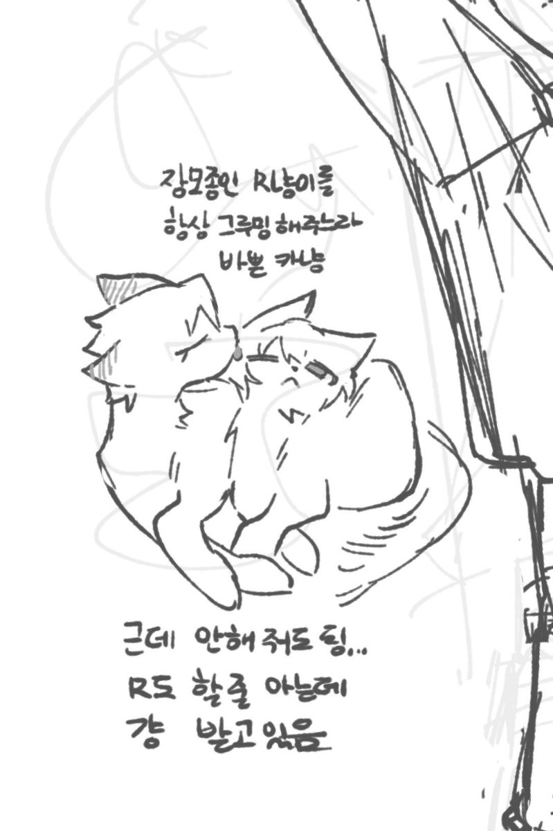 YouDied444's tweet photo. 정말 죄송합니다 https://t.co/wdZRbPyslS