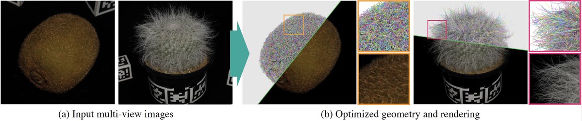 vincieye's tweet photo. Furry objects render beautifully in NeRFs but crumble in real-time graphics. This method replaces volumetric blobs with explicit, anti-aliased line segments for hair and fur that rasterize, shade, and simulate properly.

📄 https://t.co/QnpJqk3KVV
🌐 https://t.co/9w8F8a54SH https://t.co/fr1p4eVlP7